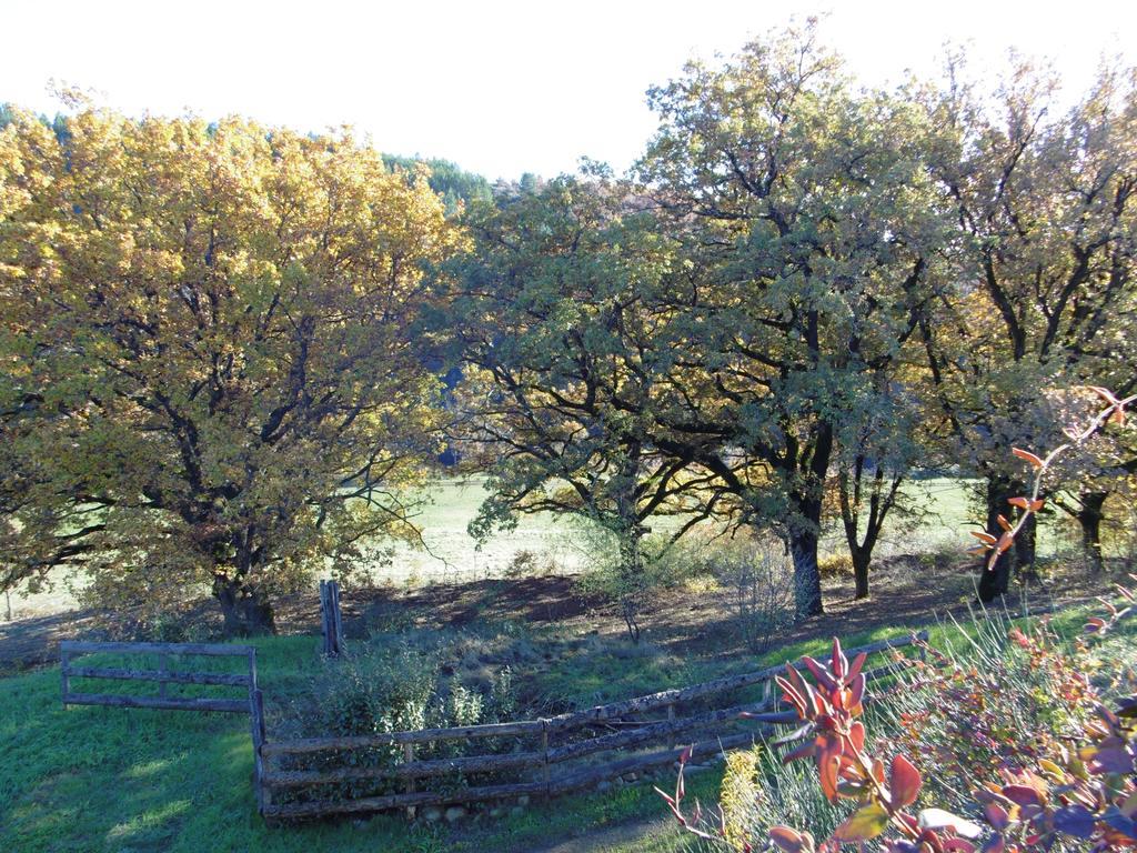 La Ferme De Valauris Bed & Breakfast Sisteron Luaran gambar